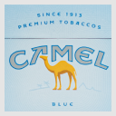 camel